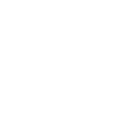 Paveway International Traders Logo (white)-01